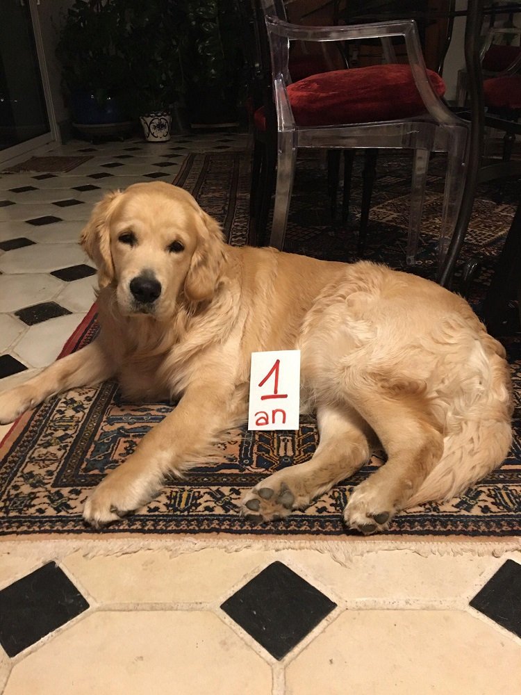 272624842_333823458663490_9198520133811471606_n