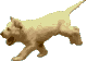 GOLDEN2