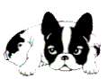gif_boule