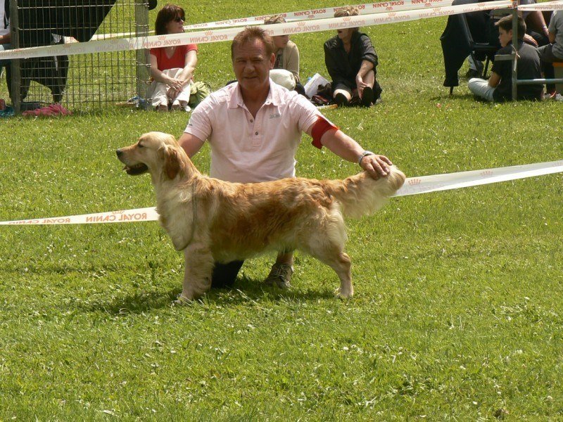 Jude