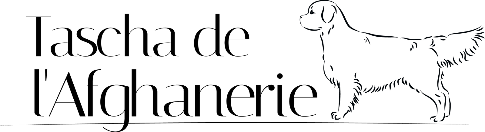 goldenm.deis-innovation.com